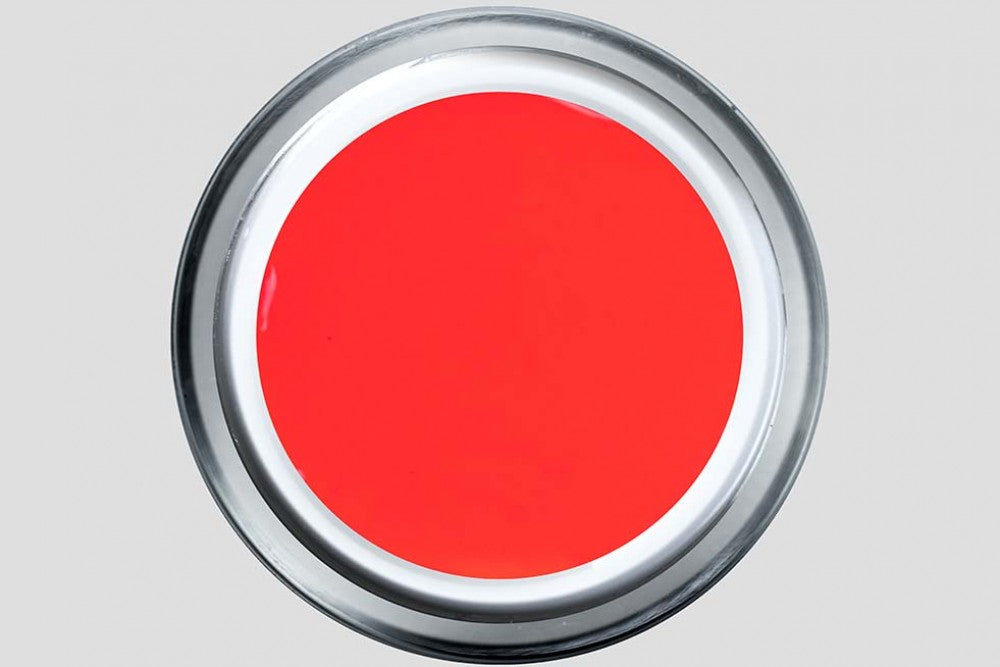 Koi516