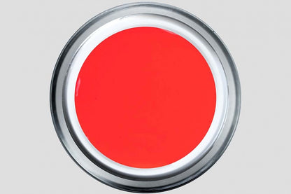 Koi516