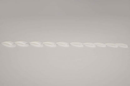 Tips - NATURE BOX 500